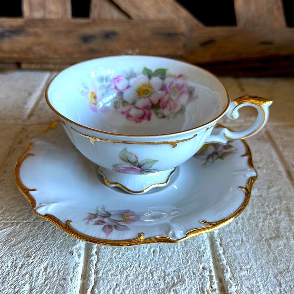 Bavaria Schumann Arzberg Wild Rose Teacup & Saucer